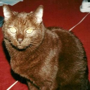 Meet your Posher, Sadie